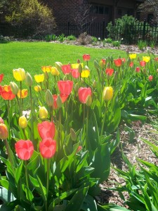 Pics from Network 1007