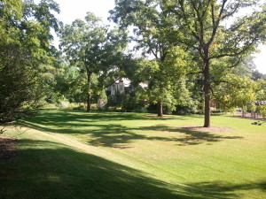 Residential Landscaping, Milwaukee Landscaping, Milwaukee Lawn Care, Landscapers Milwaukee