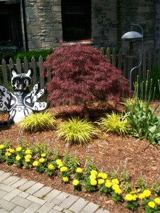 Lawn Care Milwaukee, Mequon Landscapers