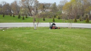 Lawn Care, Commercial Mowing, Commercial Landscaping Milwaukee, Meqon Landscaping and Lawn Care, Lawn Care