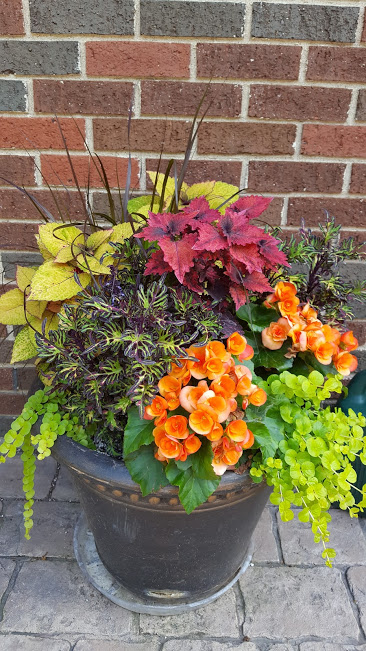 lawn maintenance, mequon, Milwaukee, fertilizer, mequon property maintenance